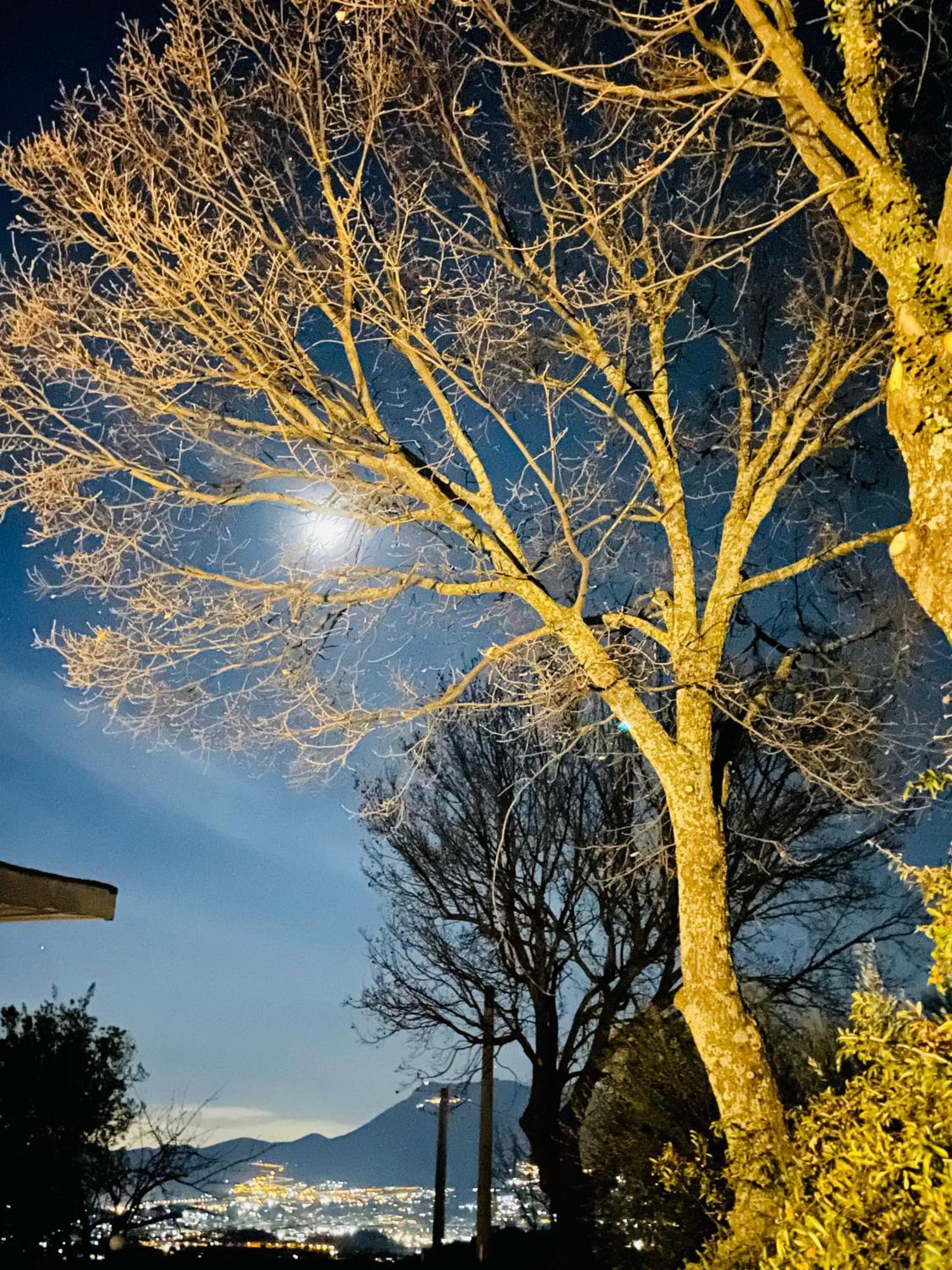 Villa Mandetta B&B Santo Stefano del Sole ภายนอก รูปภาพ