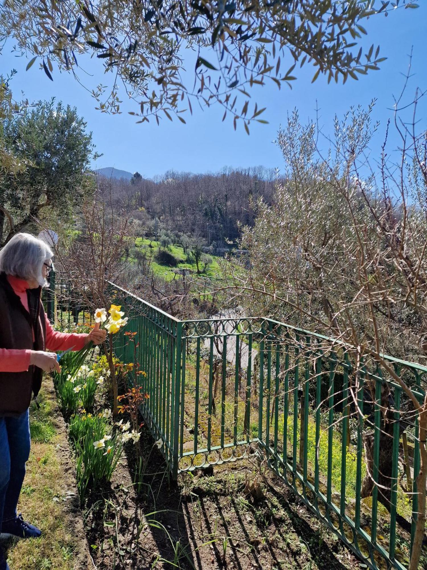 Villa Mandetta B&B Santo Stefano del Sole ภายนอก รูปภาพ